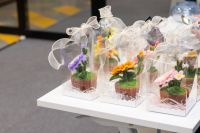 101-DSC_3138